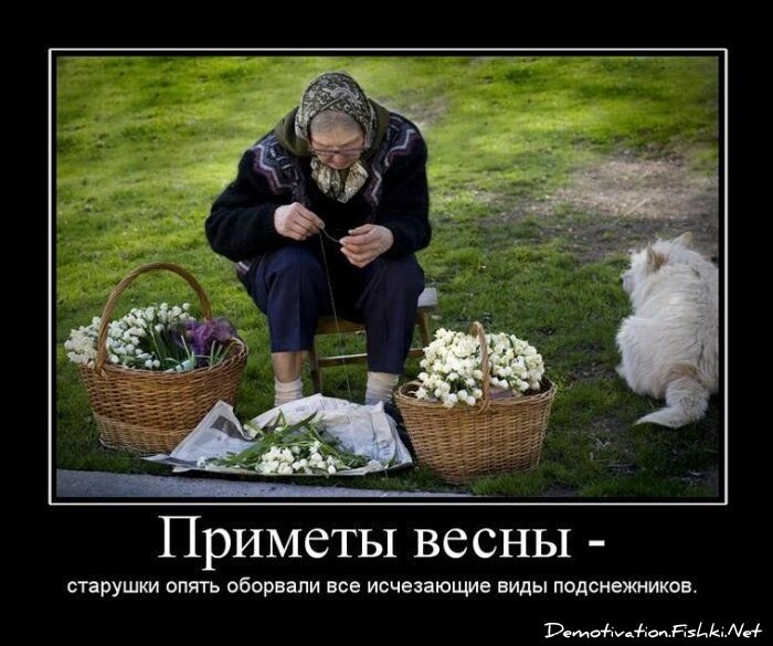 Смешной демотиватор от zubrilov за 15.06.2010 №55198