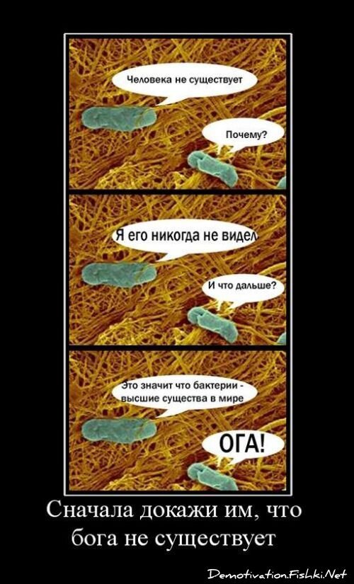 Смешной демотиватор от zubrilov за 15.06.2010 №55201