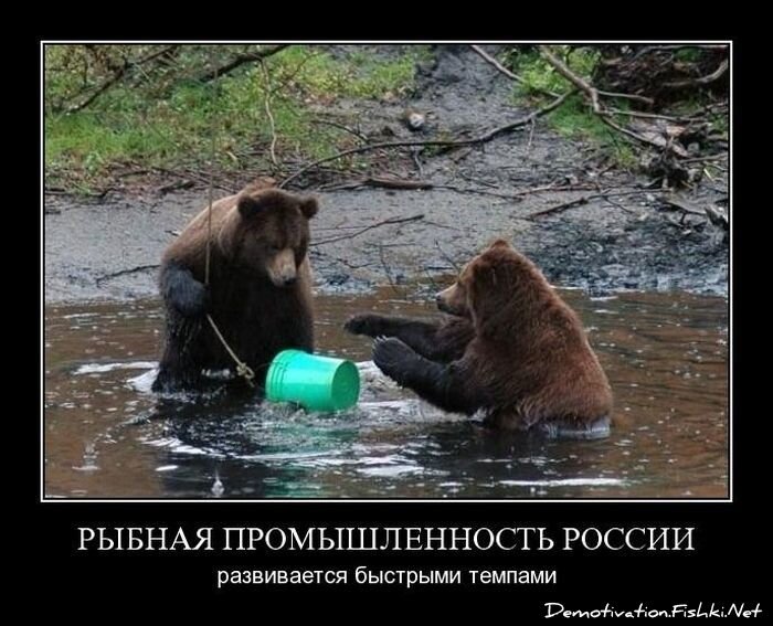 Смешной демотиватор от zubrilov за 15.06.2010 №55202