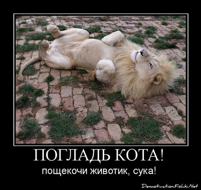 Смешной демотиватор от zubrilov за 15.06.2010 №55207