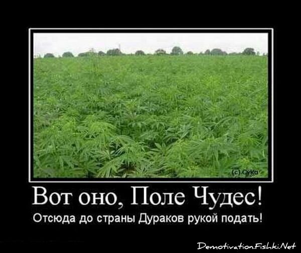 Смешной демотиватор от zubrilov за 15.06.2010 №55218