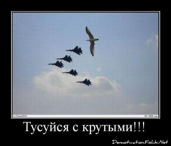 Демотиватор