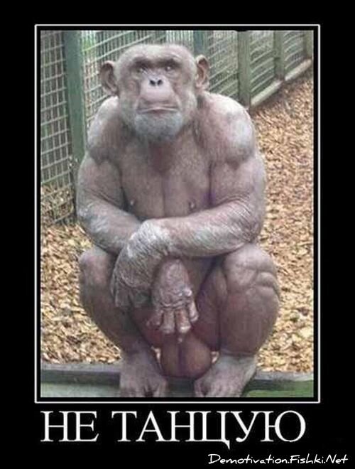 Смешной демотиватор от zubrilov за 15.06.2010 №55228