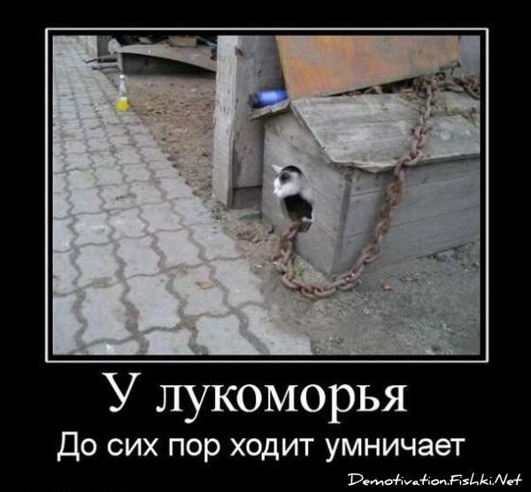 Демотиватор