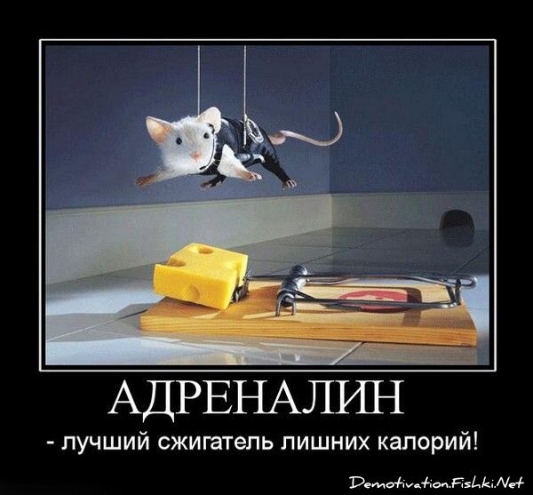 Смешной демотиватор от zubrilov за 15.06.2010 №55233