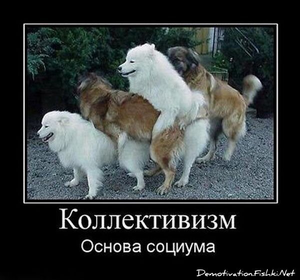 Смешной демотиватор от zubrilov за 15.06.2010 №55234