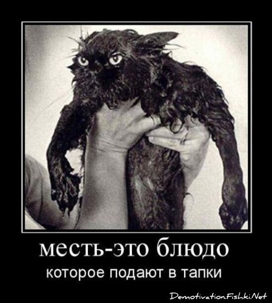 Смешной демотиватор от zubrilov за 15.06.2010 №55236