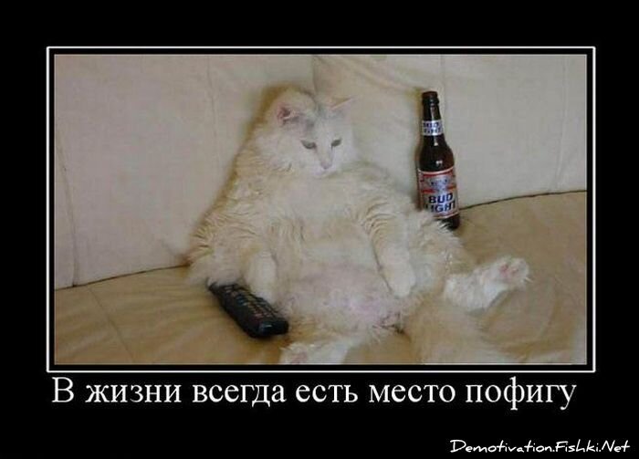 Смешной демотиватор от zubrilov за 15.06.2010 №55243