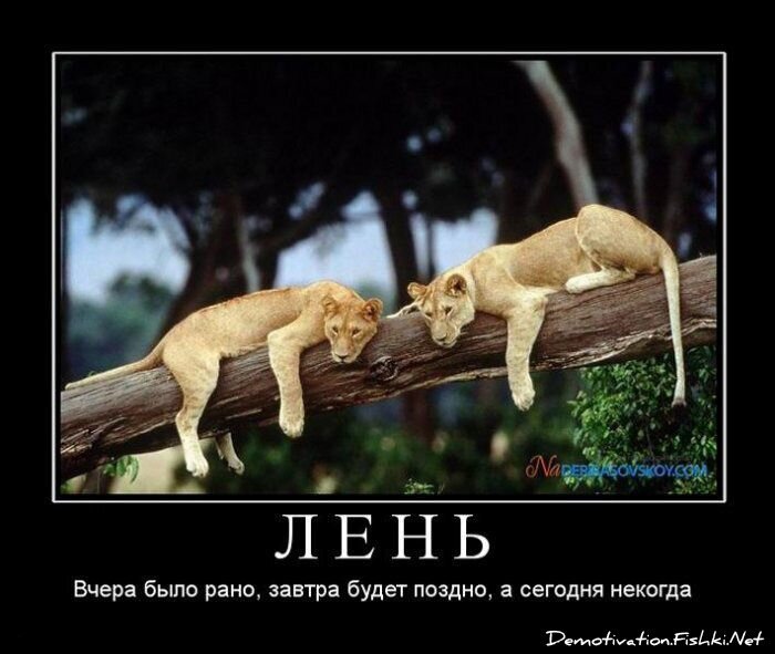 Смешной демотиватор от zubrilov за 15.06.2010 №55274