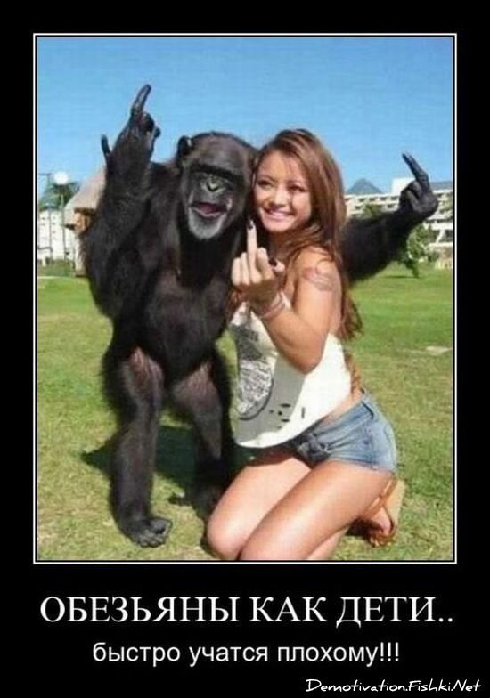 Демотиватор