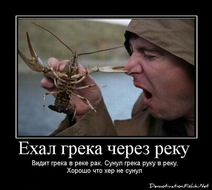 Демотиватор
