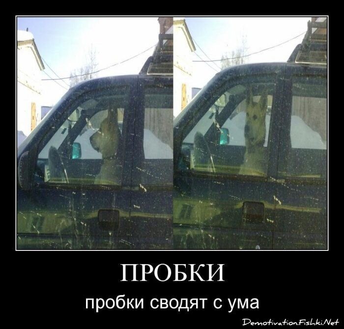 Демотиватор