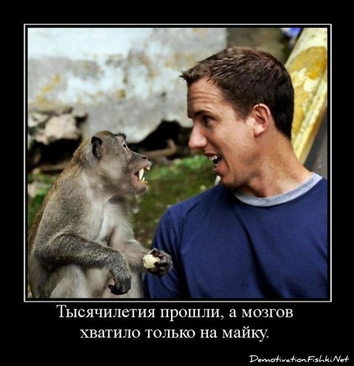 Смешной демотиватор от zubrilov за 15.06.2010 №55312