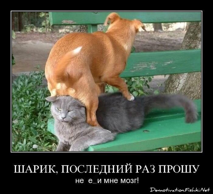 Смешной демотиватор от zubrilov за 15.06.2010 №55314