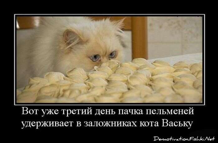 Смешной демотиватор от zubrilov за 15.06.2010 №55331