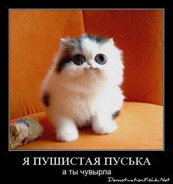 Смешной демотиватор от zubrilov за 15.06.2010 №55332