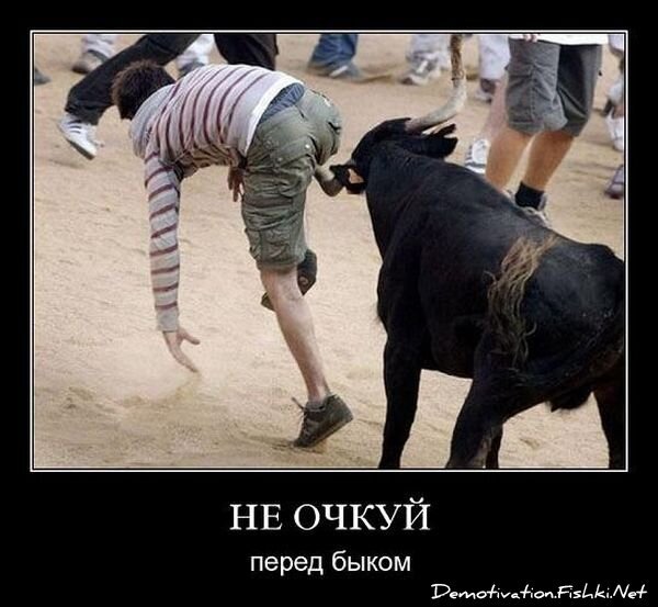 Демотиватор