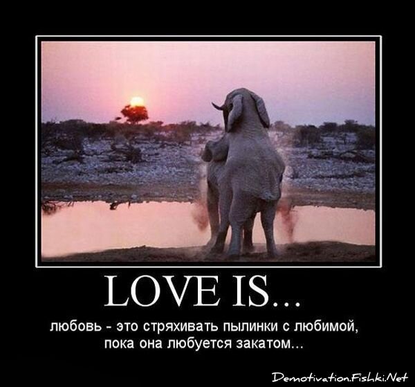 Смешной демотиватор от zubrilov за 15.06.2010 №55344