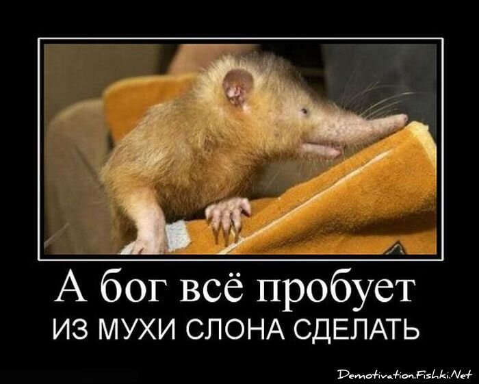 Демотиватор