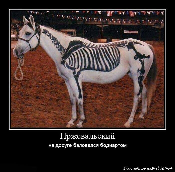 Смешной демотиватор от zubrilov за 15.06.2010 №55386