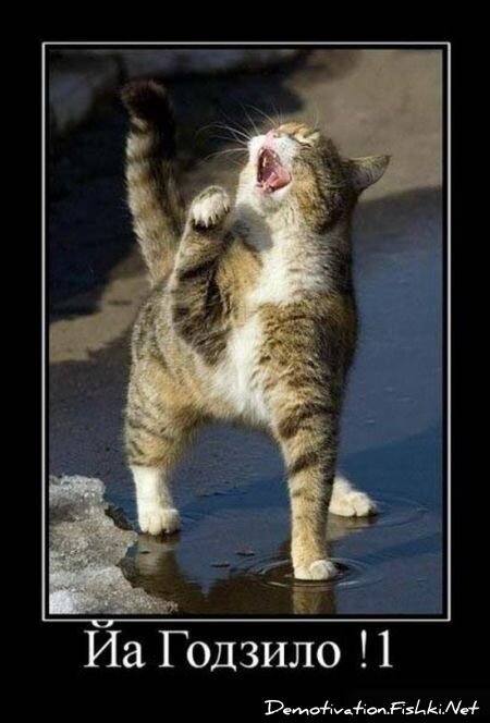 Смешной демотиватор от zubrilov за 15.06.2010 №55401