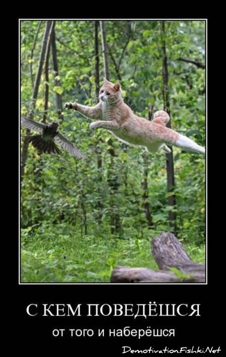 Смешной демотиватор от zubrilov за 15.06.2010 №55412
