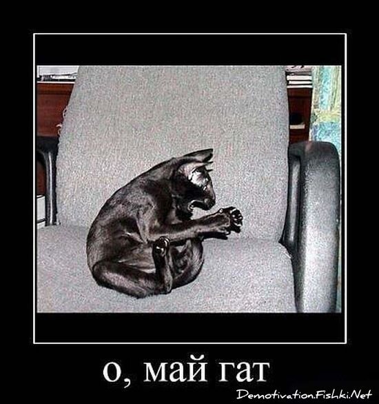 Смешной демотиватор от zubrilov за 15.06.2010 №55413