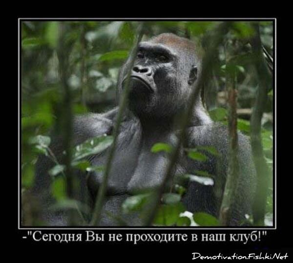Смешной демотиватор от zubrilov за 15.06.2010 №55414