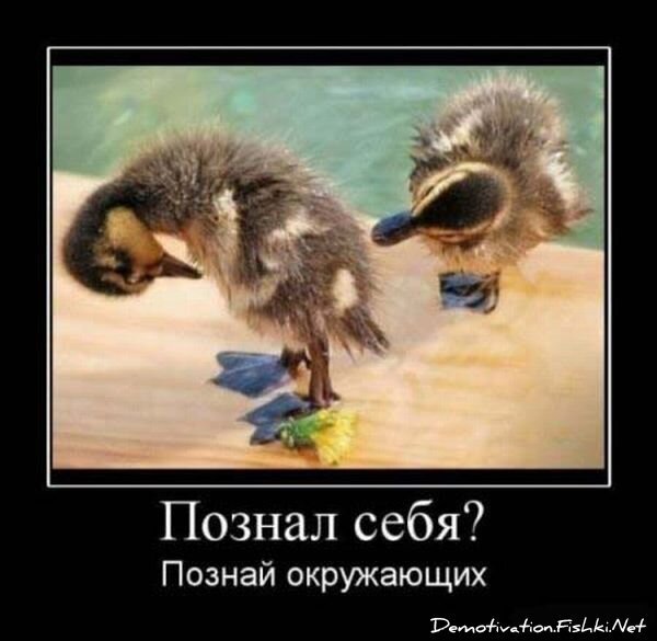 Смешной демотиватор от zubrilov за 15.06.2010 №55429