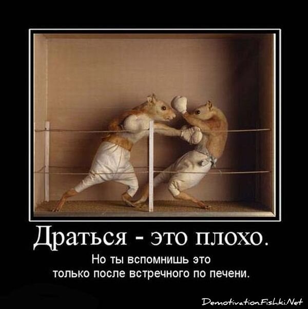 Демотиватор