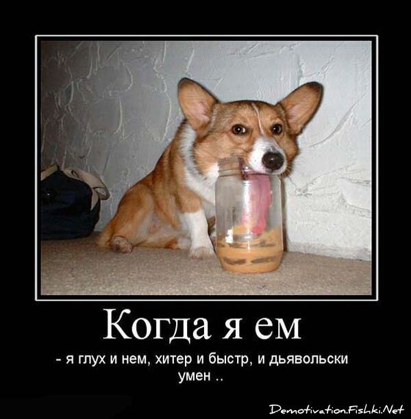 Смешной демотиватор от zubrilov за 15.06.2010 №55436