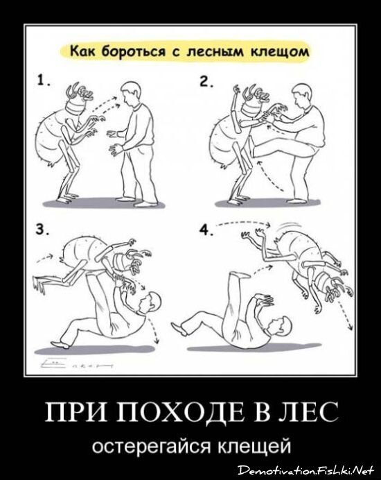 Демотиватор