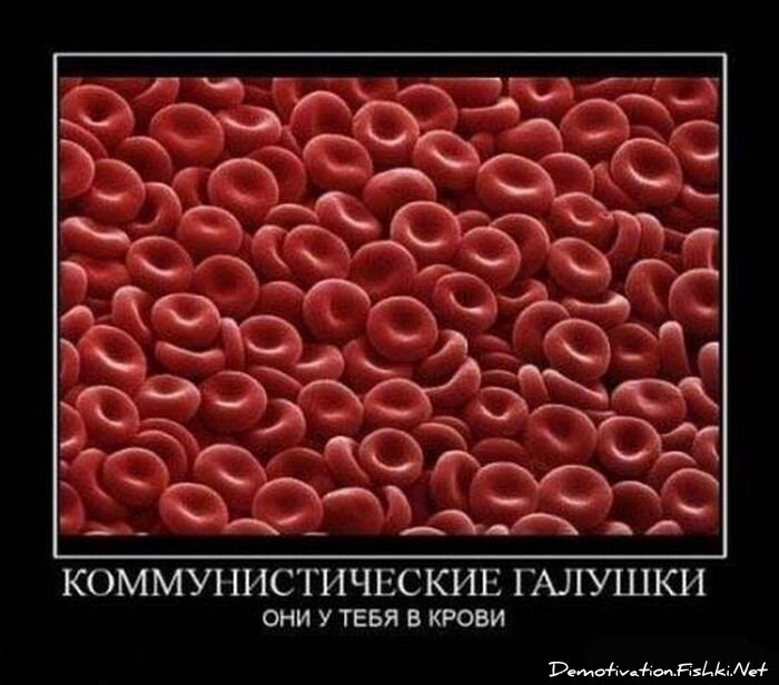 Смешной демотиватор от zubrilov за 15.06.2010 №55491