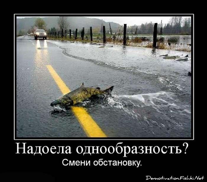 Смешной демотиватор от zubrilov за 15.06.2010 №55492