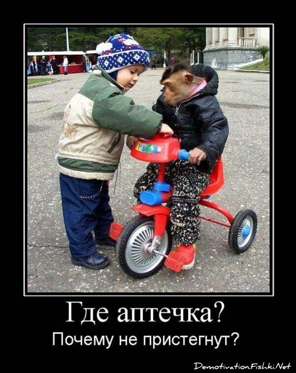 Демотиватор