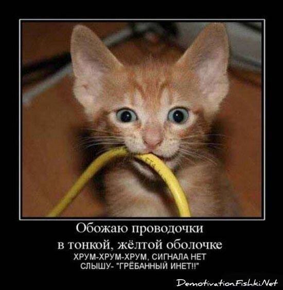 Смешной демотиватор от zubrilov за 15.06.2010 №55520