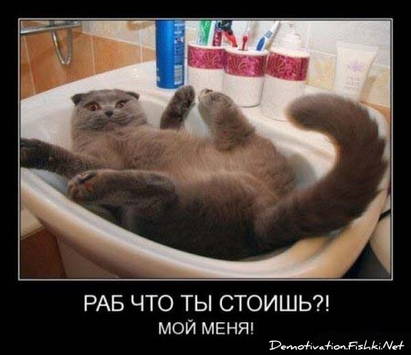Смешной демотиватор от zubrilov за 15.06.2010 №55521