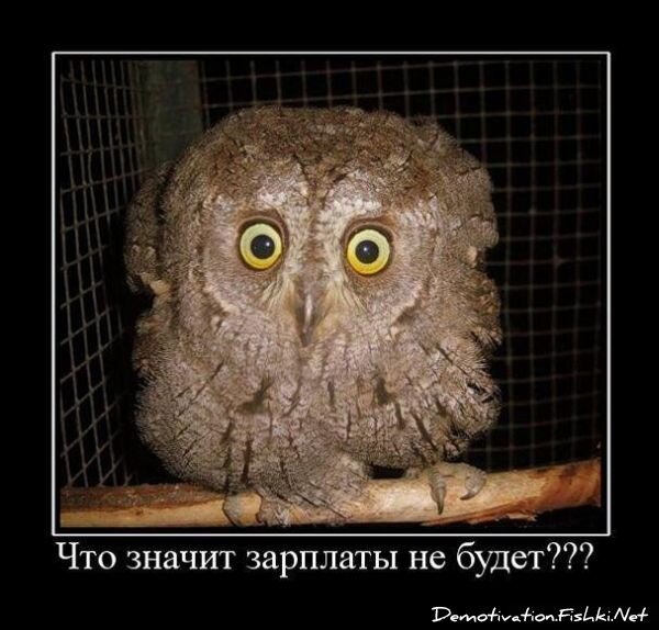 Смешной демотиватор от zubrilov за 15.06.2010 №55526