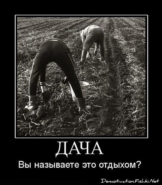 Смешной демотиватор от zubrilov за 15.06.2010 №55528
