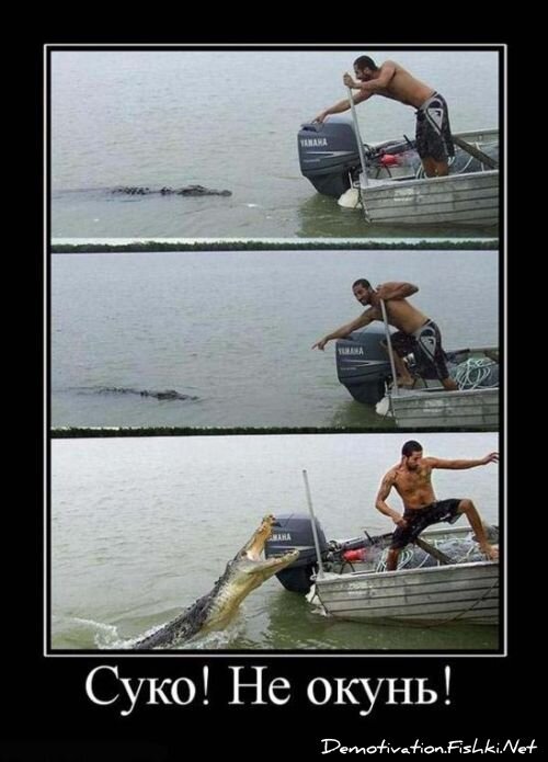 Смешной демотиватор от zubrilov за 15.06.2010 №55530