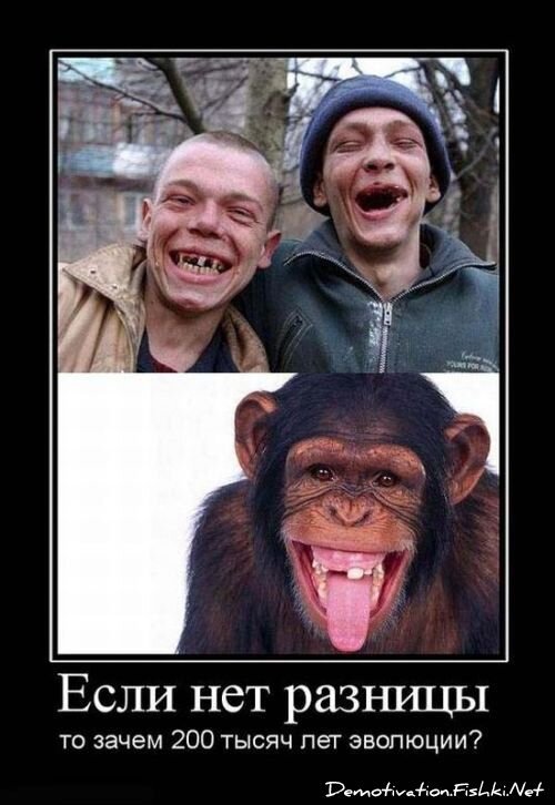 Смешной демотиватор от zubrilov за 15.06.2010 №55535