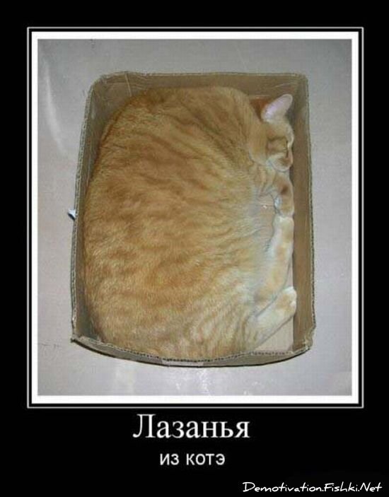 Смешной демотиватор от zubrilov за 15.06.2010 №55543