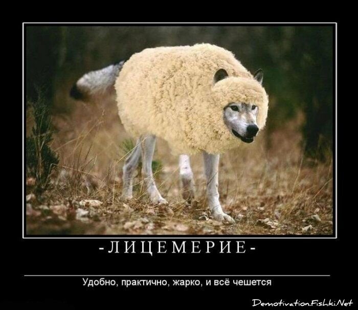 Смешной демотиватор от zubrilov за 15.06.2010 №55559