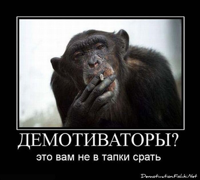 Смешной демотиватор от zubrilov за 15.06.2010 №55568
