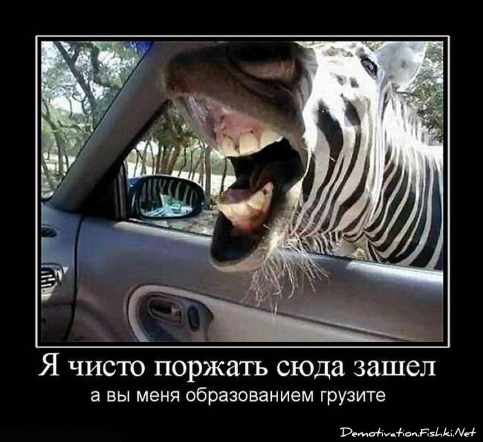 Смешной демотиватор от zubrilov за 15.06.2010 №55570