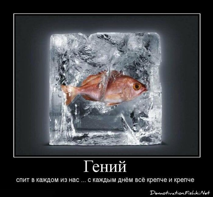 Демотиватор