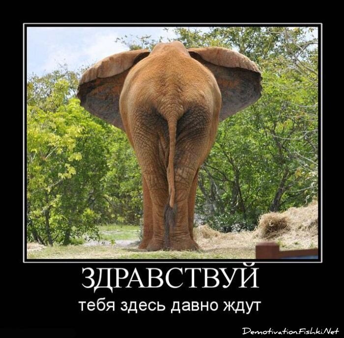 Смешной демотиватор от zubrilov за 15.06.2010 №55595