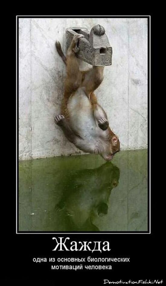 Смешной демотиватор от zubrilov за 15.06.2010 №55599