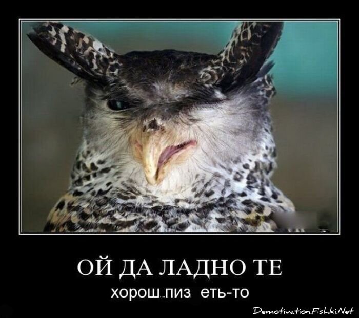 Смешной демотиватор от zubrilov за 15.06.2010 №55600