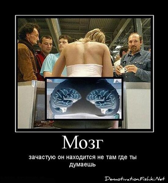 Смешной демотиватор от zubrilov за 15.06.2010 №55601